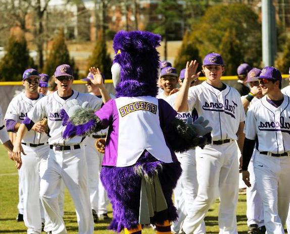 Freddie the Falcon greets the 澳门在线赌城娱乐 baseball team on the field.